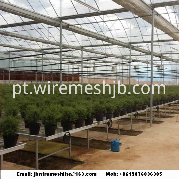 Galvanized Welded Wire Mesh Greenhouse Rolling Benches